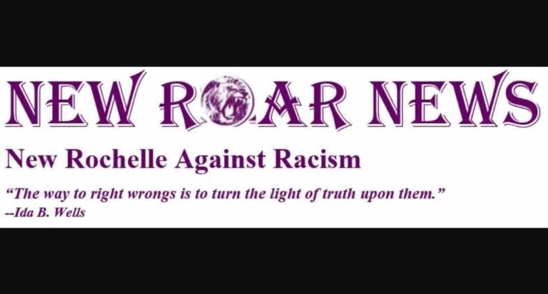 Despite Public Objections, Panel Recommends Weakest Police Review Board