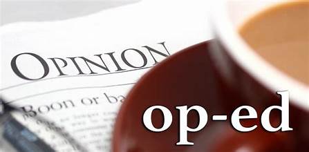 After Careful Consideration, I Am Supporting Lisa Maria Nero For Greenburgh Town Clerk And Here’s Why by Tasha Young