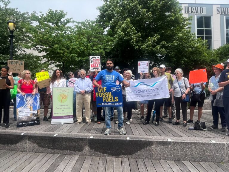 Westchester Residents Urge Senator Andrea Stewart-Cousins: Put People Over Plastics!