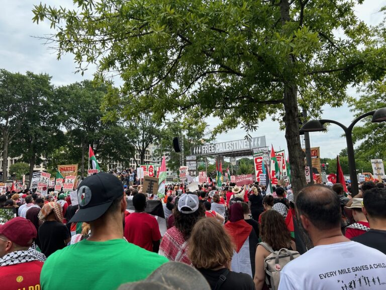 Thousands Converge on DC Protesting Netanyahu’s Visit To Congress By Lisa Hansom
