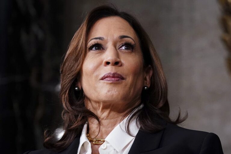 Kamala Harris Gave It Her Best with a Broken National Message from the Democratic Party