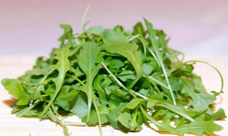 The Underappreciated Green That Could Help Address Black America’s Health Disparities