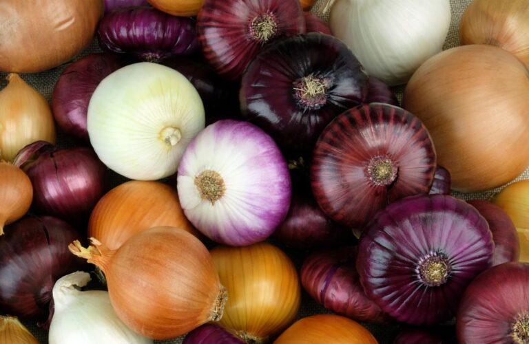 The Power of Onions: A Simple, Affordable Superfood for Black Americans