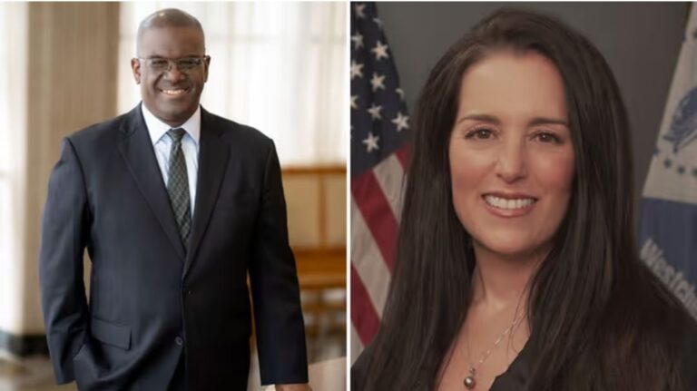 Westchester County Executive Special Election
