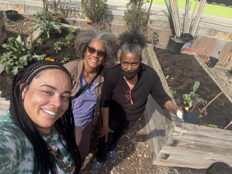 Power, Pride, and Planting: The Hidden Gem of Harlem at Diversity Edible Farm Garden