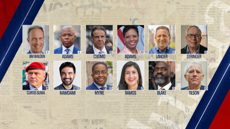 The 2025 NYC Mayoral Election