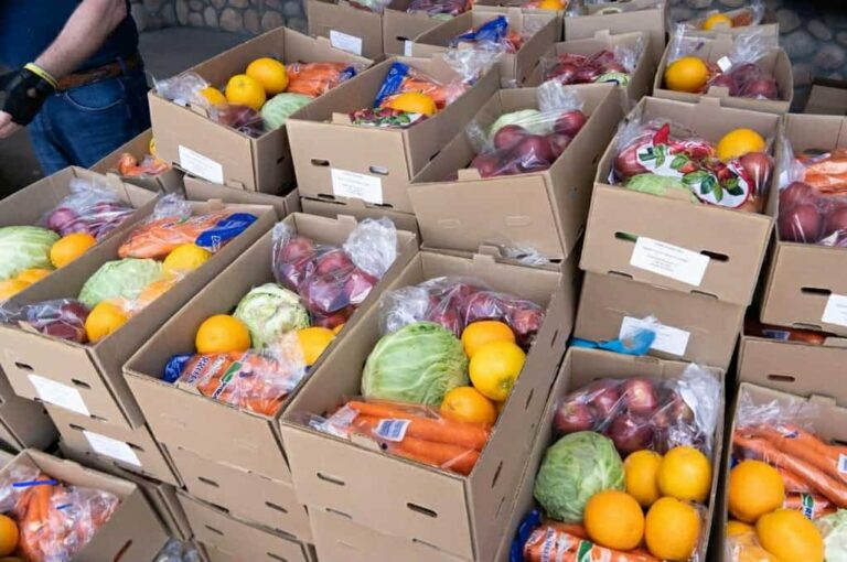 Local Food Pantries and Distribution Sites