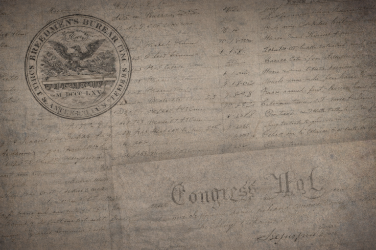 The Erasure of Reparations: How History Was Traded for Talking Points